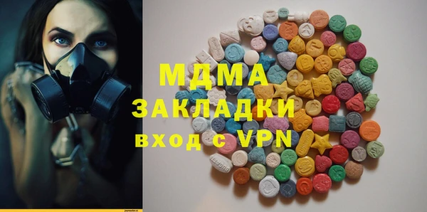 хмурый Алексин