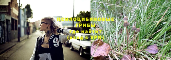 гидра Алзамай