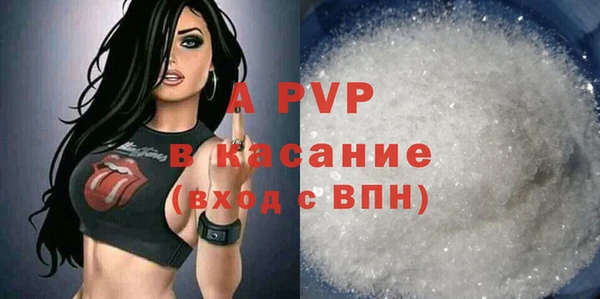 хмурый Алексин