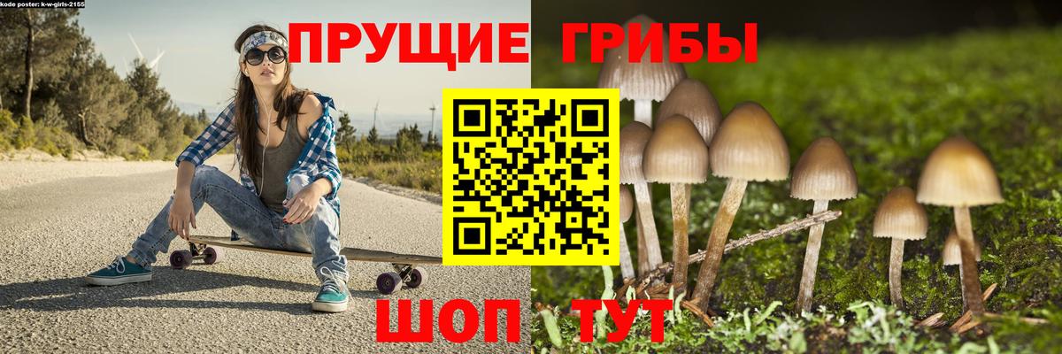 Канаш  Псилоцибиновые грибы GOLDEN TEACHER  Вход с VPN  Галлюциногенные грибы прущие грибы 